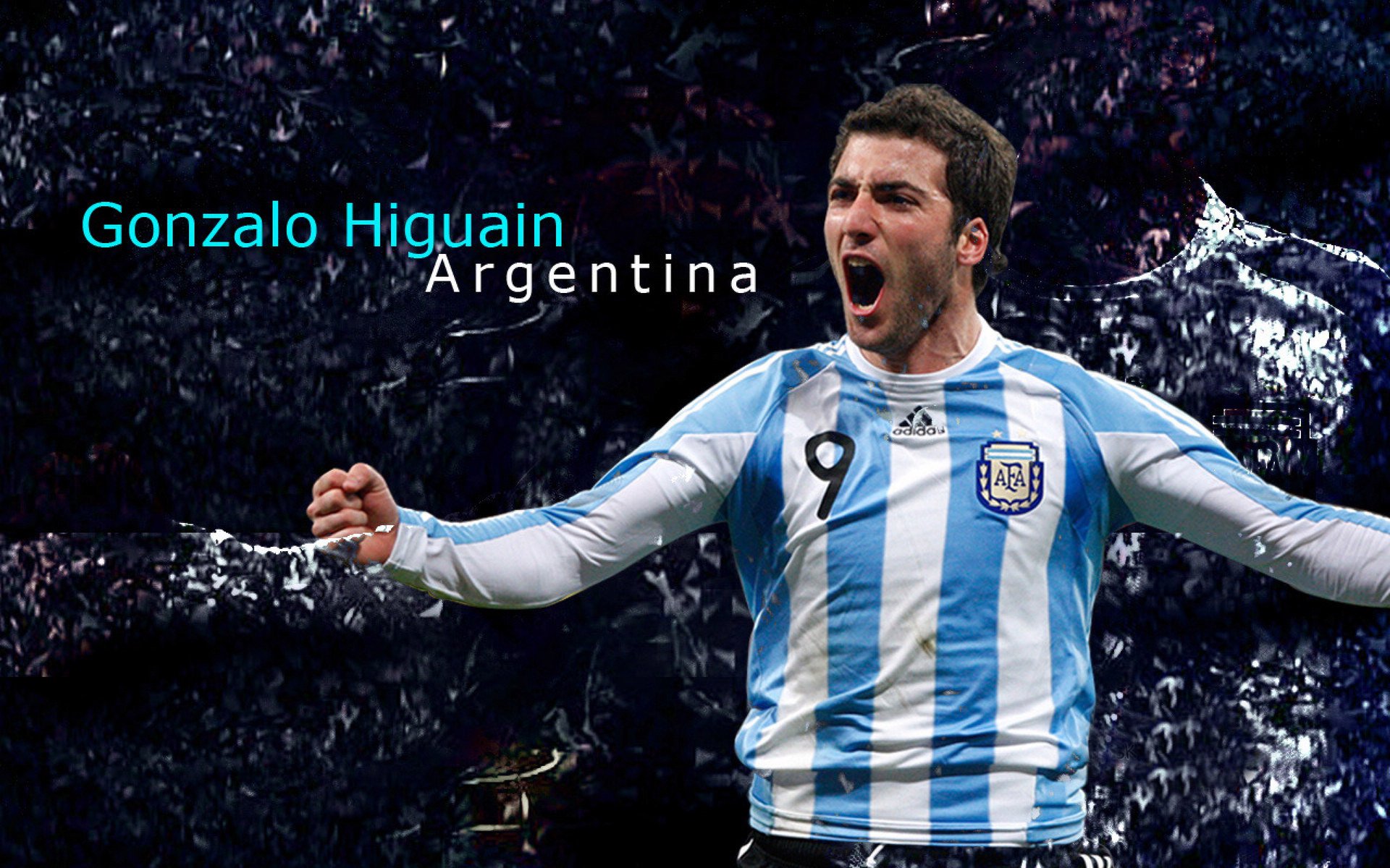 张伟丽赛前称将全力以赴拼到底，张伟丽比赛视频中文解说